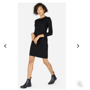 Everlane Luxe Wool Blend Sweater Dress